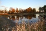 Fall Reflections