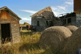 Ruin among the bales