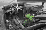 Fixer upper?
