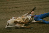 Steer wrestling