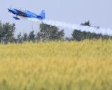 _MG_0549 2