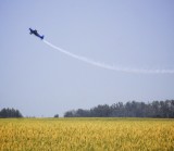 _MG_0533 2