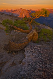 Last Light Warms Half Dome