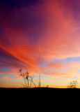 Desert Sunset Goes On