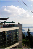IMGP8056_1.jpg