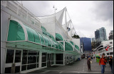 IMGP8138_1.jpg