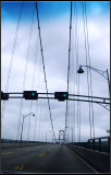 IMGP8286_1.jpg