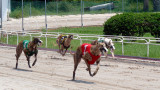 Run for Living 06.jpg