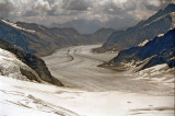 Jungfrau -glacier