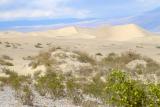Sand dunes near Stovepipe Wells