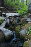 Rail Creek on Wawona Road