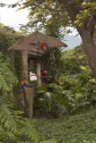 Guatemala-0406.jpg