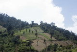 Guatemala-0798.jpg