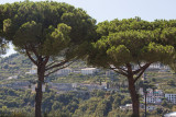 Amalfi0222.jpg