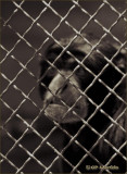 Caged 