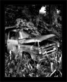 Jungle Intl Truck BW