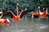 DSC_1896small.jpg