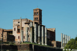 Ruins on the Palatine Hill DSC_0645