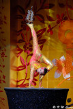 Hangzhou Acrobatic Troupe (杭州雜技團)