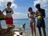 The coconut demo $5  St Lucia