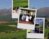 Stellenbosch Gaurdian Peak Restaurant Stellenbosch