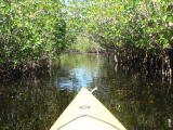 I enjoyed kayaking and it is a great workout