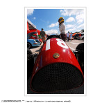 Paddocks 16