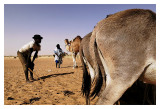 Mauritanie - Puiser la vie 18