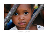 Madagascar - The Red Island 260