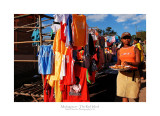 Madagascar - The Red Island 270