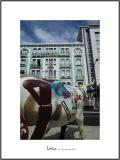 Cows in Lisboa 22