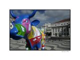 Lisboa, cows parade 4