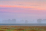 Misty Morning At Sunrise 19977
