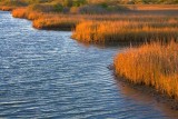 Marsh At Sundown 28652