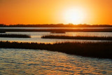 Wetland Sunset 30035