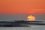 Oyster Shell Reefs In Sunrise 38650