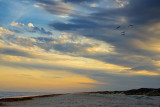 Gulf Beach At Sunset 42540