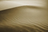 Dune 42310