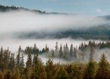 Magpie River Valley Fog 20090714
