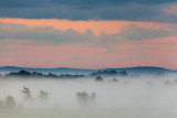 Foggy Daybreak 07343-4