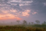 Foggy Cloudy Sunrise 07241-3