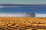 Morning Mist 08939