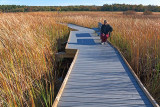 Sandra On The Marsh Boardwalk 09177