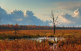 Jock River At Sunrise 09026