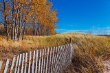 Autumn Dunes 09150