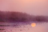 Foggy Sunrise Reflected 20957