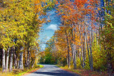 Autumn Backroad 22962-3