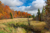 Autumn Landscape 20101002