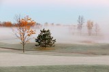 Foggy Autumn Golf Course 20101010