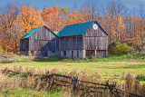 Autumn Barn 24195